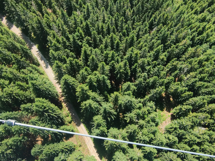 Sky Bridge 721 i Ścieżka w Obłokach – wycieczka pełna emocji - obrazek 2