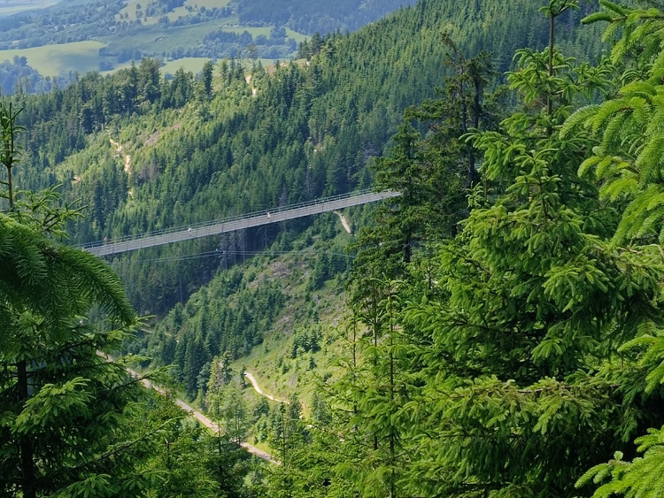 Sky Bridge 721 i Ścieżka w Obłokach – wycieczka pełna emocji - obrazek 4